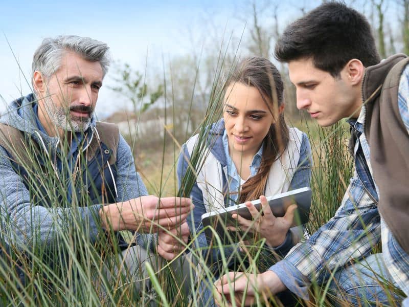 Three people studying grass in a field