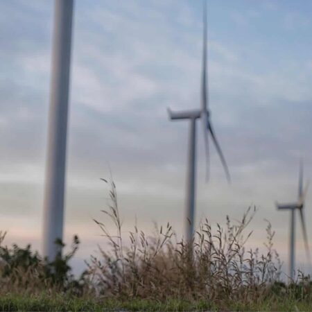 Wind turbines in field with long grass in the foreground.
