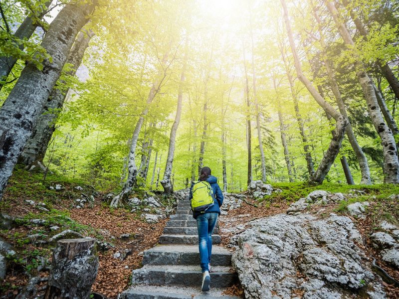 Image of somebody walking up steps in a forest