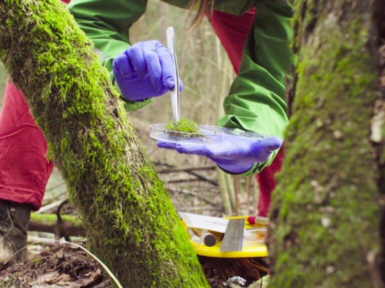 Ecologist Green Careers Hub