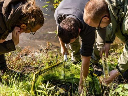 Group of ecologists looking at the life in the water
