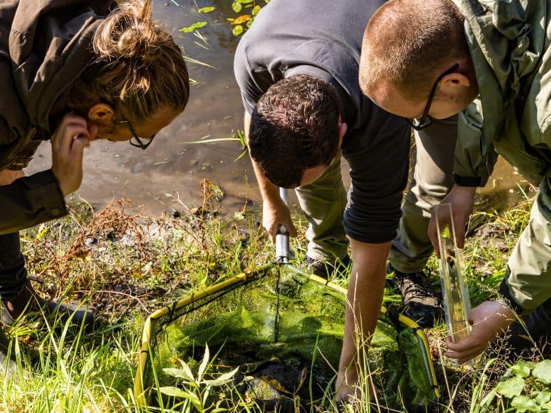 Group of ecologists looking at the life in the water
