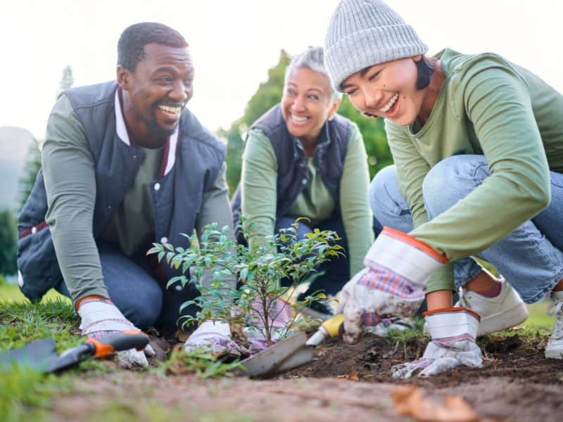 Photo of three people gardening