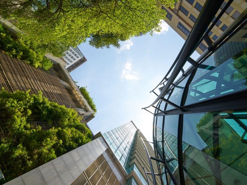 Low angle image of modern buildings next to trees