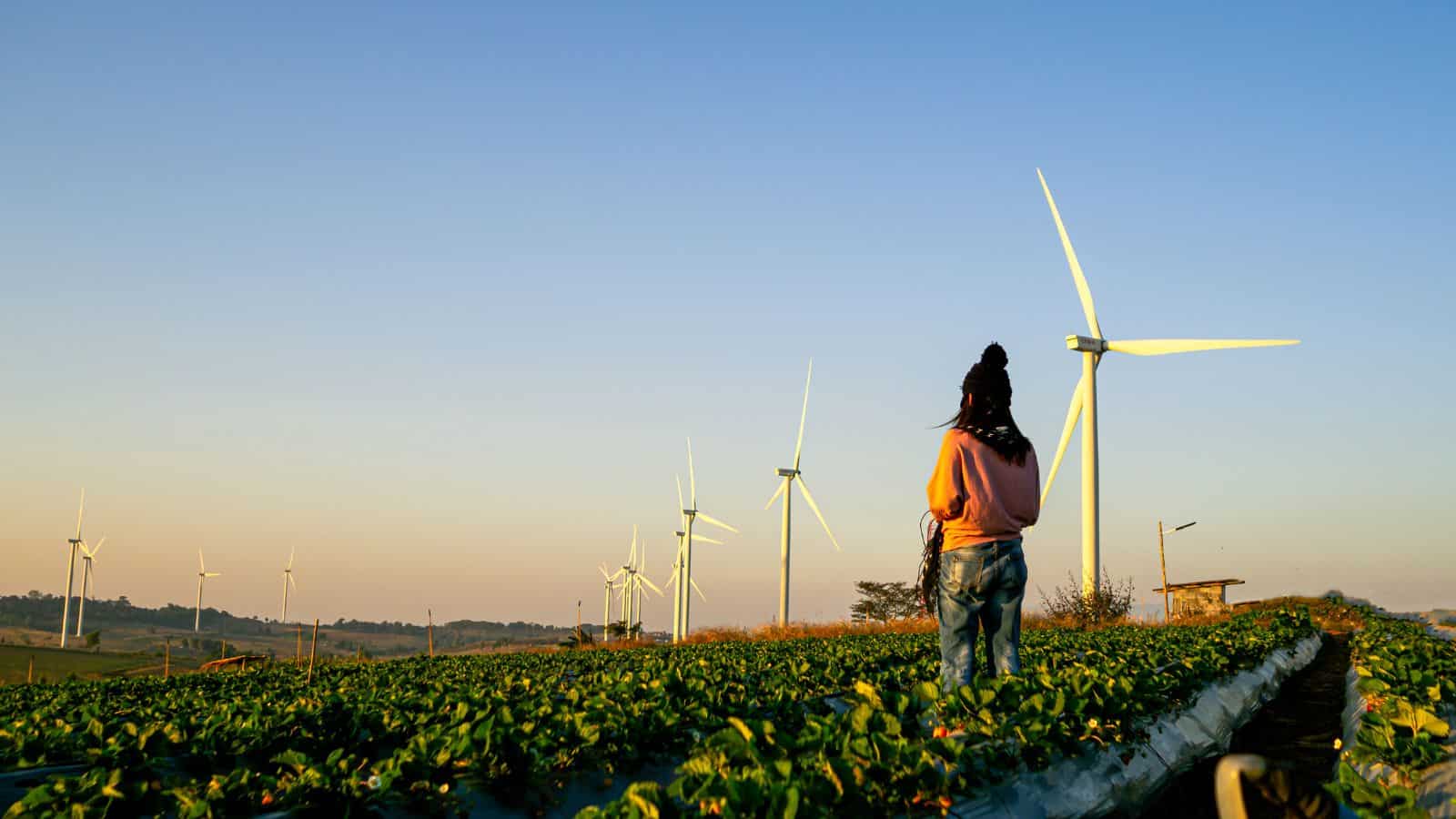 Woman looks out over agricultural field and wind turbines as the sun rises