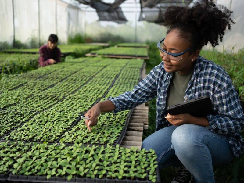 Woman works on modern farm while holding a tablet computer