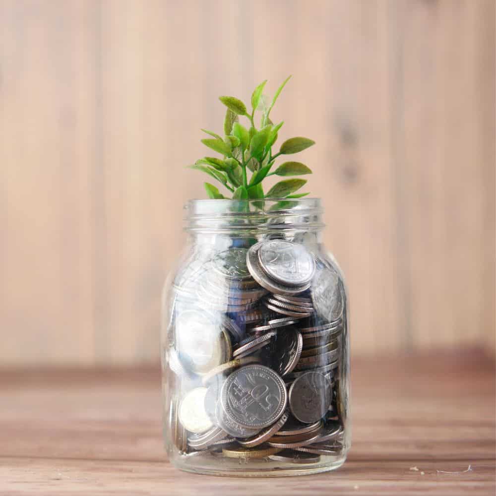 Image of money change in a jar with a leaf at the top