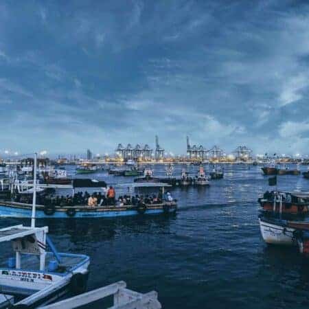 Boats in a harbour