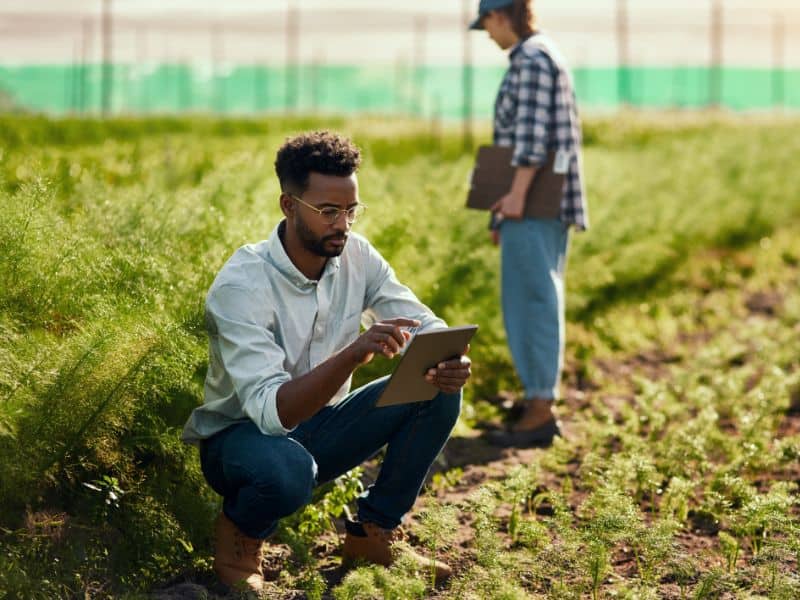 Image of two people monitoring the ground, with clipboards