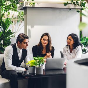 Group of sustainability professionals in a meeting