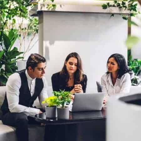Group of sustainability professionals in a meeting