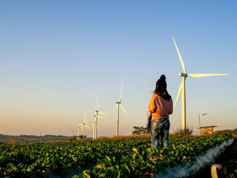 Let S Make All Jobs Greener Home Green Careers Hub