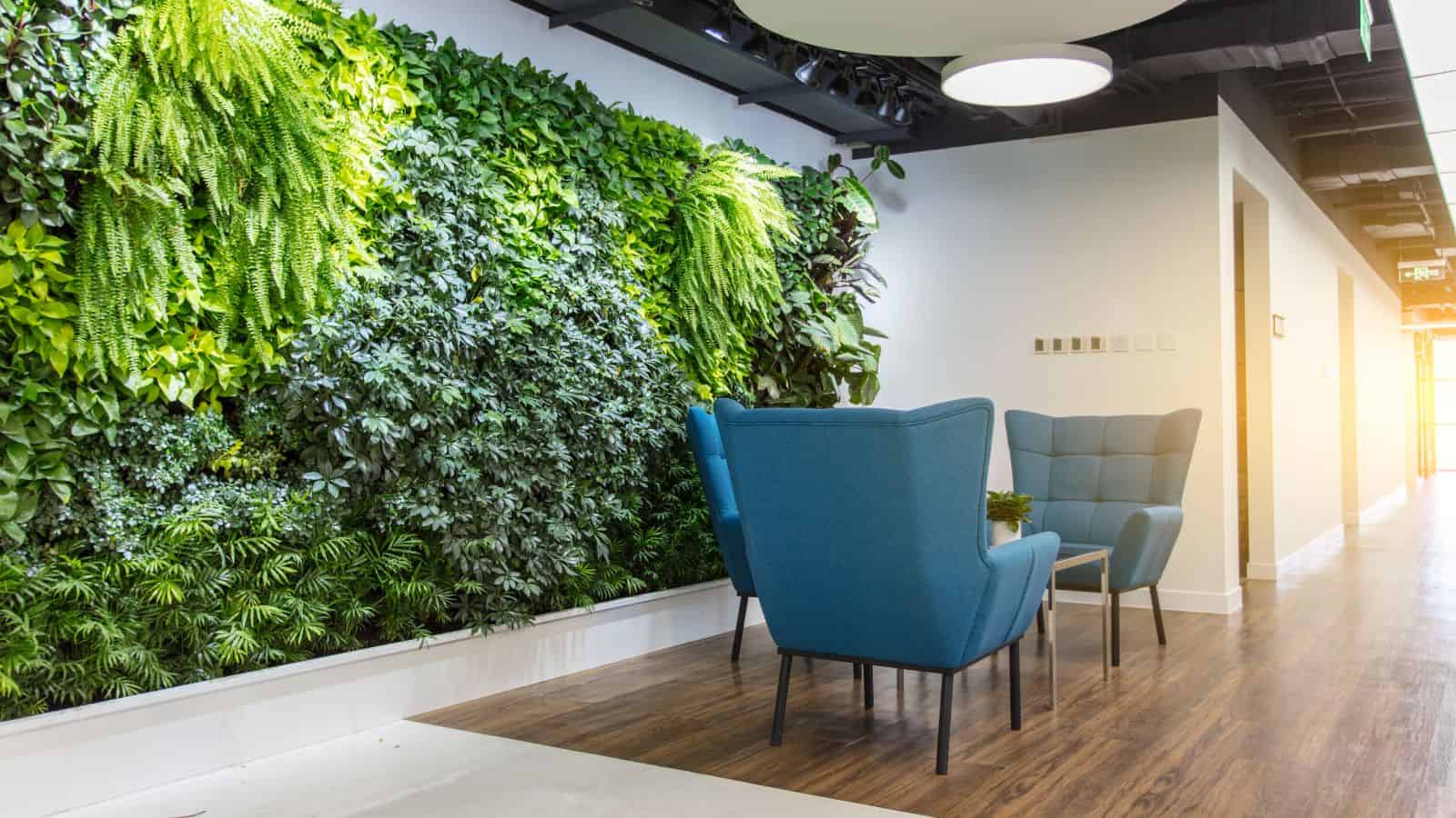 A modern sustainability office