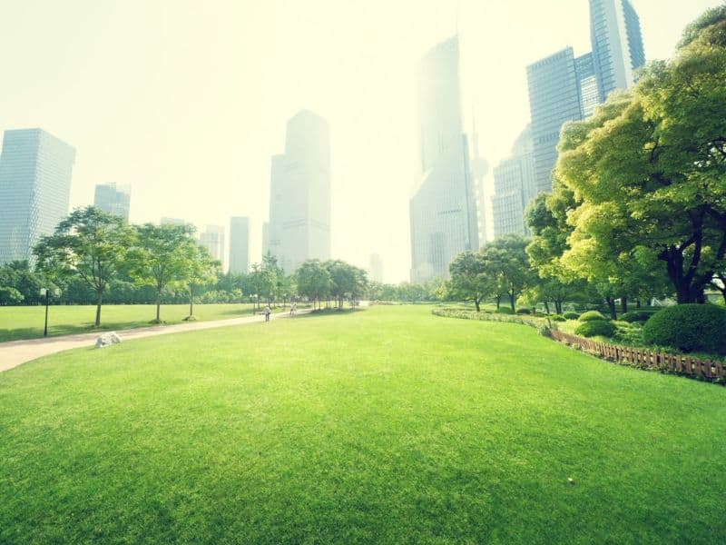Photo of a city skyline with a green park in the forefront of the image