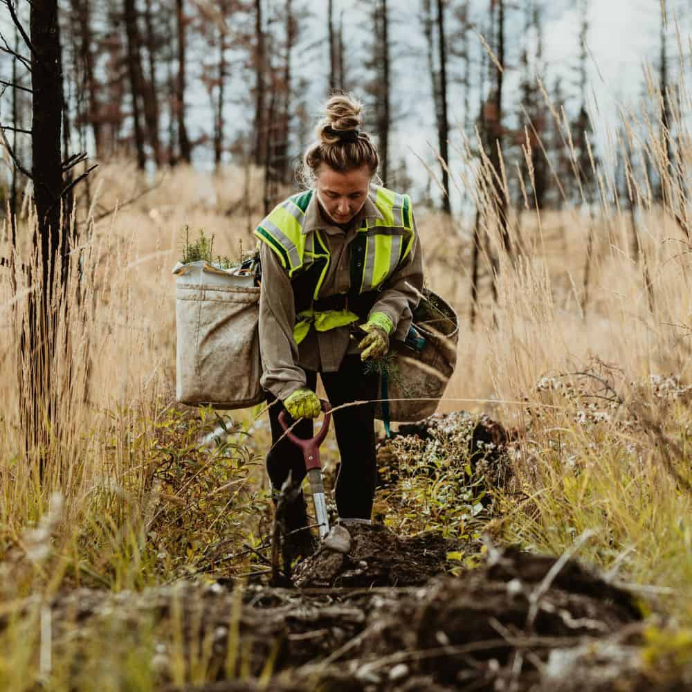 Woman planting trees