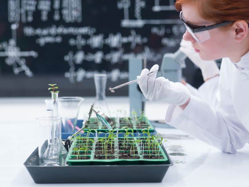 A young woman in a laboratory is looking at seedlings growing in soil. She is wearing a white lab coat.