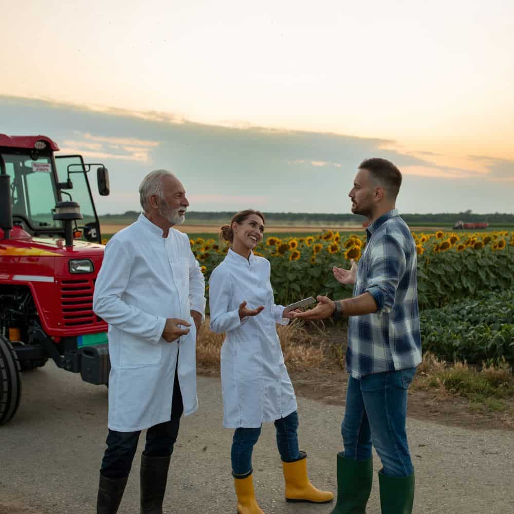 Three people standing and talking in a field with sunflowers. Two of them are wearing white lab coats. There is also a red tractor in the field.