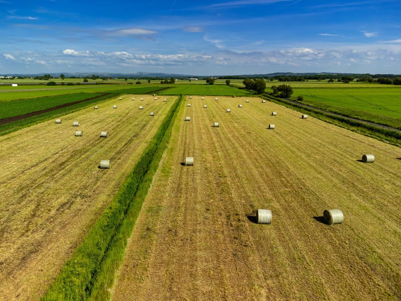 Green fields with a sunny sky int he background. There are hay barrels in the foreground.