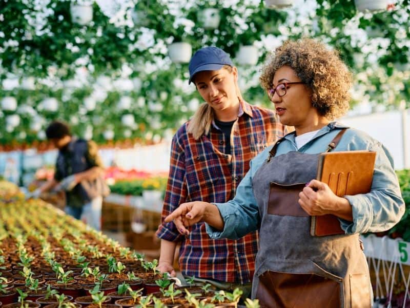Photo of two women looking at individual plants growing in bulk.