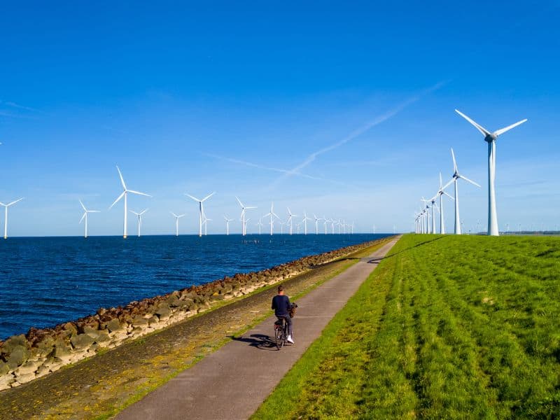 Person cycling along a coastline with wind turbines in the background