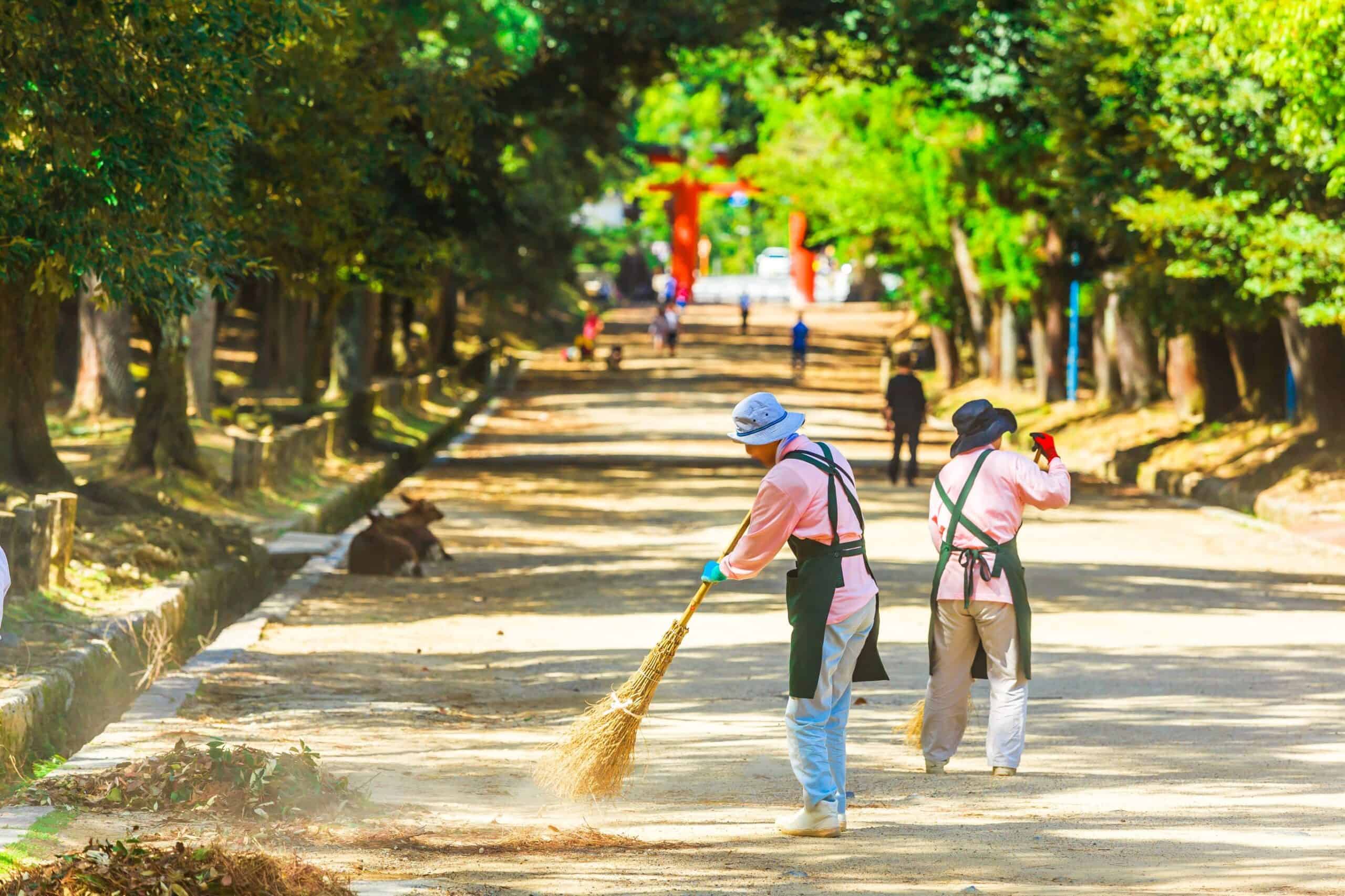 Two people sweeping streets, with cows on the road in the background