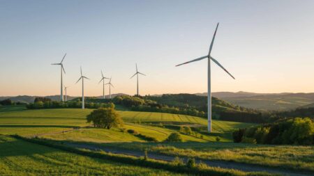 wind turbines in a field