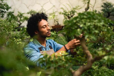 Man tending to plants in a greenhouse