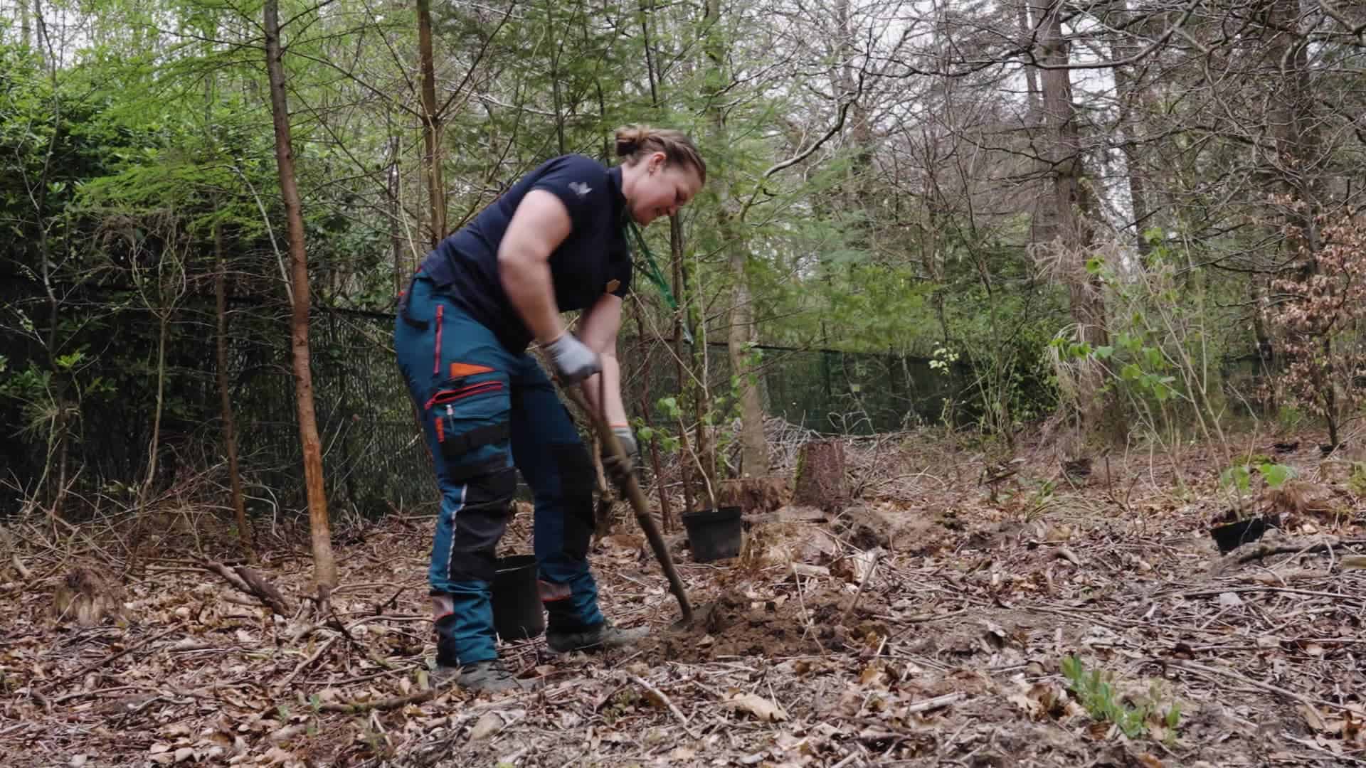 Woman digging into the ground in woodland setting in Center Parcs