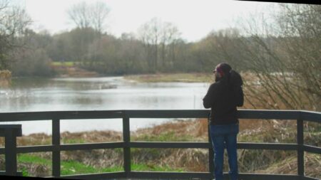A person looking over at a lake