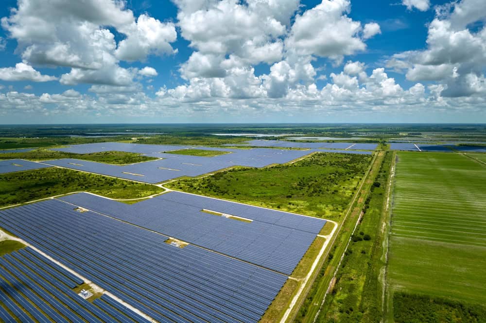 Solar panels in a field with green grass and a body of water behind